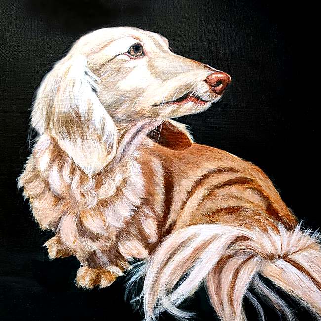 Sugar, acrylic on canvas