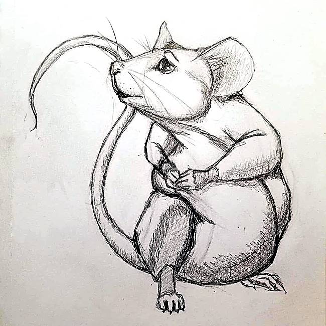 Mouse Character Study, pencil