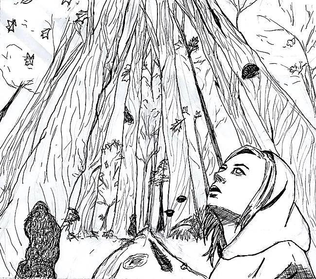 Through the Woods, pen & ink